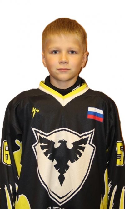 Птицын  Арсений  Андреевич