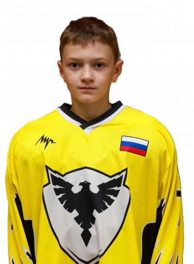 Жизнин  Артемий
